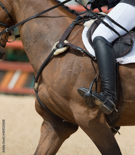 horseback rider riding in show jumping competition close cropped to show proper seat and leg position wearing white jodhpurs riding jacket and english tack 