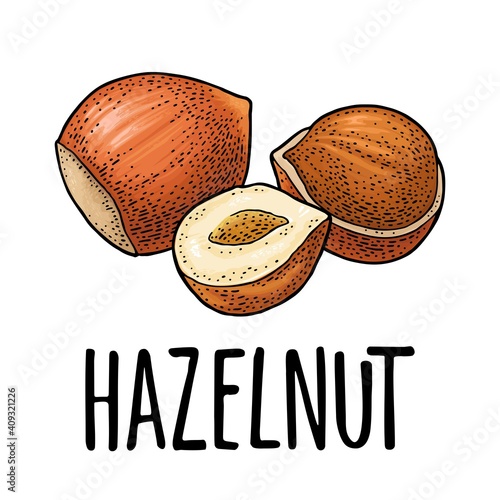 Set whole and half hazelnut with green leaves. Vector realistic icon.