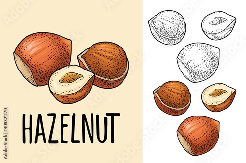 Set whole and half hazelnut with green leaves. Vector realistic icon.