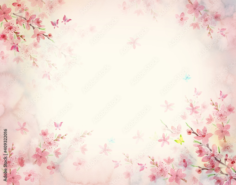 Spring pink delicate background with blooming cherry, sakura. Watercolor painting.