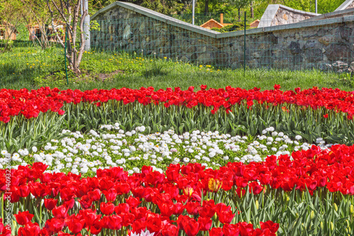  A beautiful flower bed in a recreation park on the song field in the historical center of Kiev near the Kiev-Pechersk Lavra.