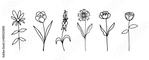 Doodle flowers set. Vector collection of botanical sketches for wedding invitations, birthday cards, March 8