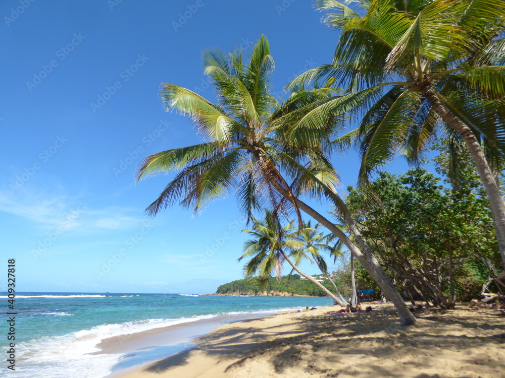 Plage de l'Anse l'Etang Tartane Martinique Plage de l'Anse l'Etang Tartane Martinique