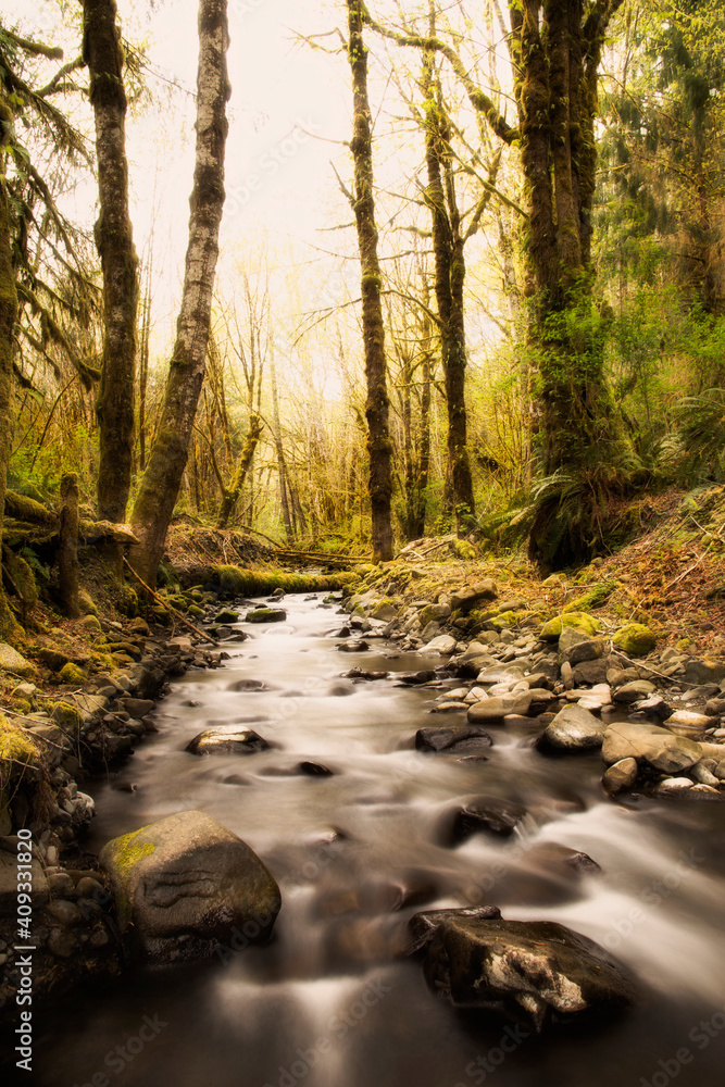 Fototapeta premium Down Stream