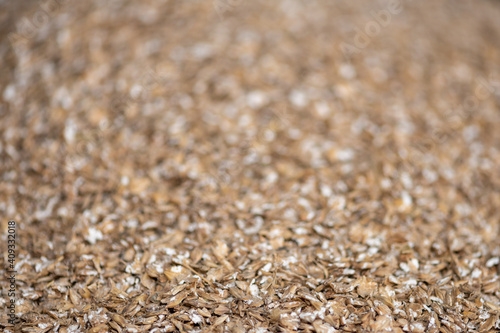 Close up of ground barley (hordeum vulgare) photo