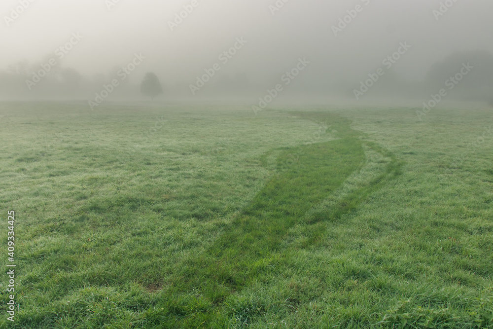 Fototapeta premium champ avec rosée dans le brouillard du matin