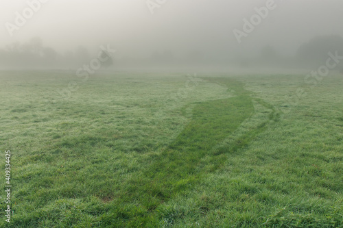 champ avec rosée dans le brouillard du matin