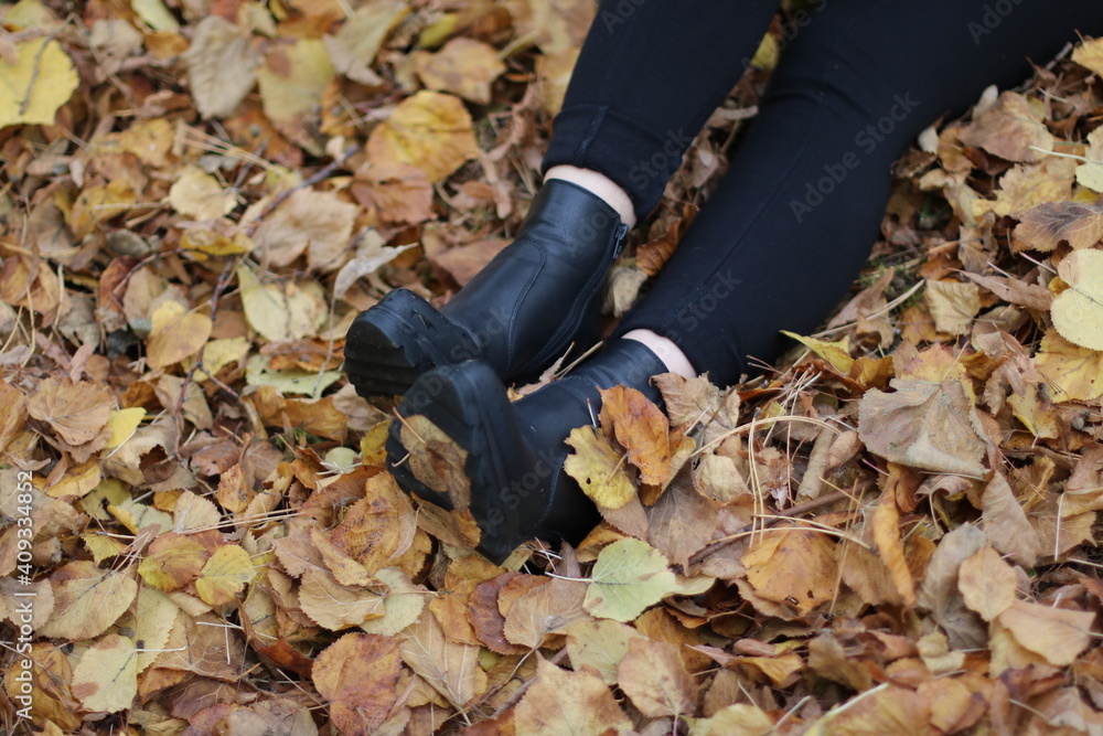 Obraz premium Im Laub sitzen