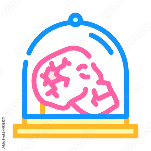 skull museum exhibit color icon vector illustration