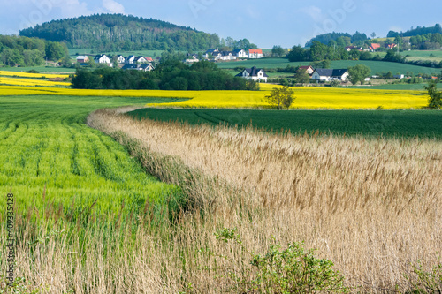 Fototapeta Naklejka Na Ścianę i Meble -  Trawy i zielone pola na pierwszym planie, kwitnący rzepak, góry i niebieskie niebo w tle
