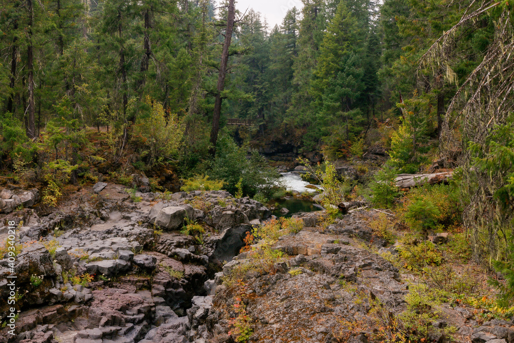 River in the forest River in the forest