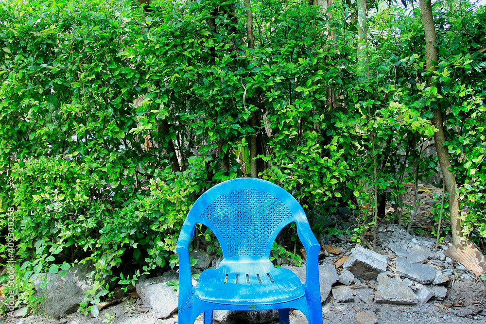 A blue plastic chair in the center against a backdrop of green leaves A blue plastic chair in the center against a backdrop of green leaves