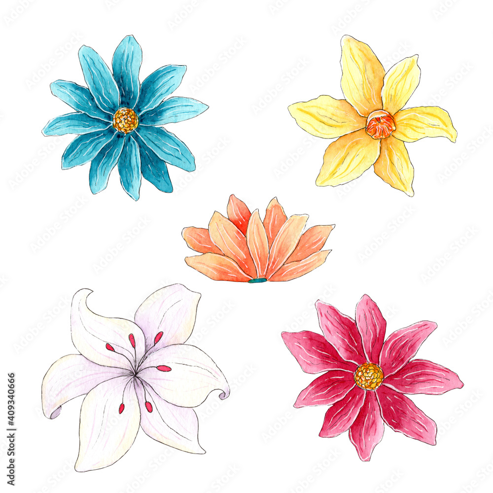 Hand painted watercolor spring flowers isolated on white background. Floral set.