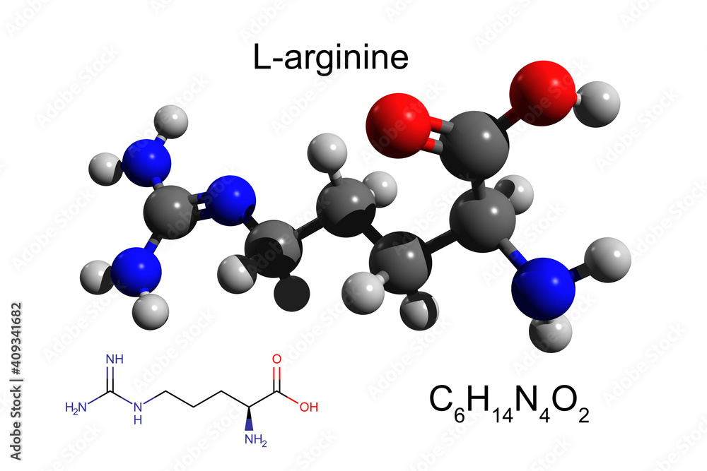 Chemical formula, structural formula and 3D ball-and-stick model of L-arginine, an essential amino acid, white background