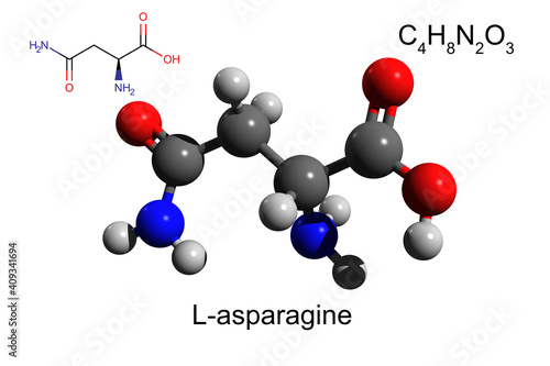 Obraz na plátně Chemical formula, structural formula and 3D ball-and-stick model of L-asparagine