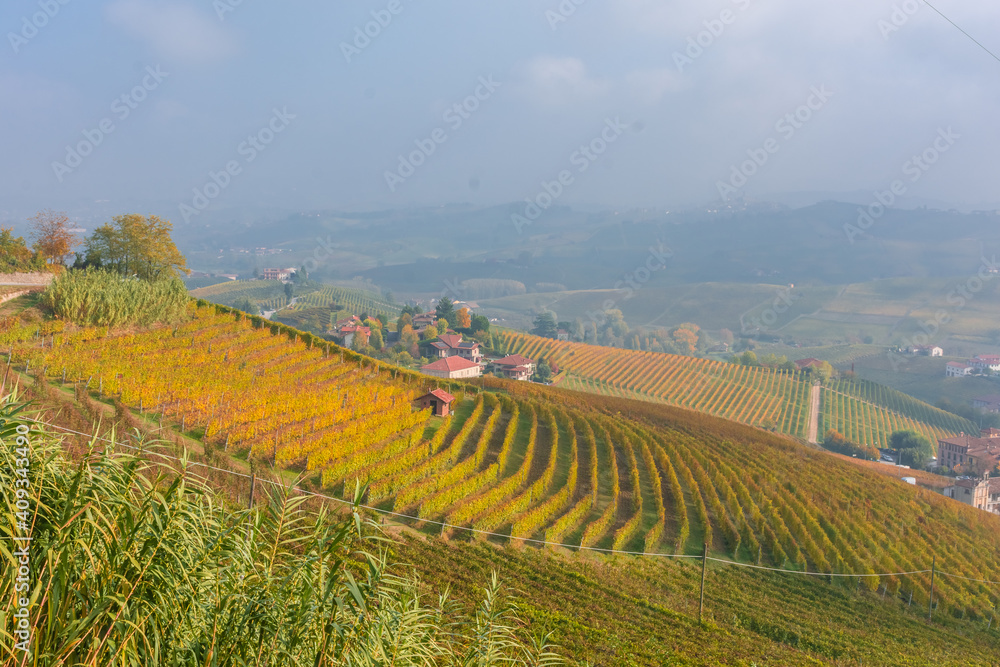 Amazing autumnal landscape in the Langhe, famous vineyard area in Piedmont Italy