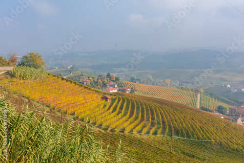 Amazing autumnal landscape in the Langhe  famous vineyard area in Piedmont Italy