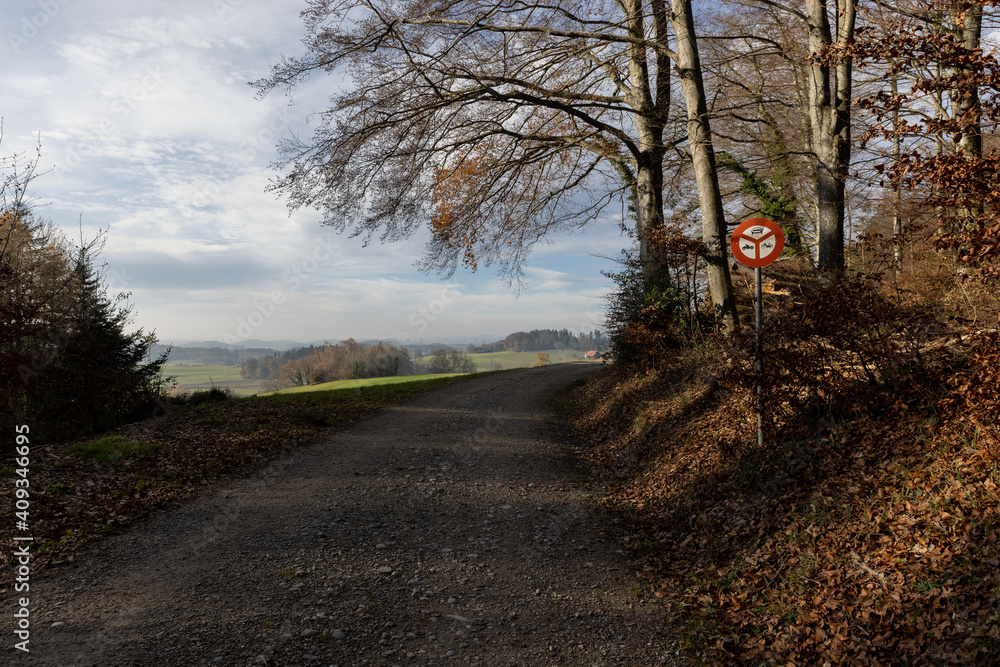 Fototapeta premium nature must be protected from noise and pollution, forest road with no driving sign, passage forbidden for cars and moto bikes, blue cloudy sky, in the daytime
