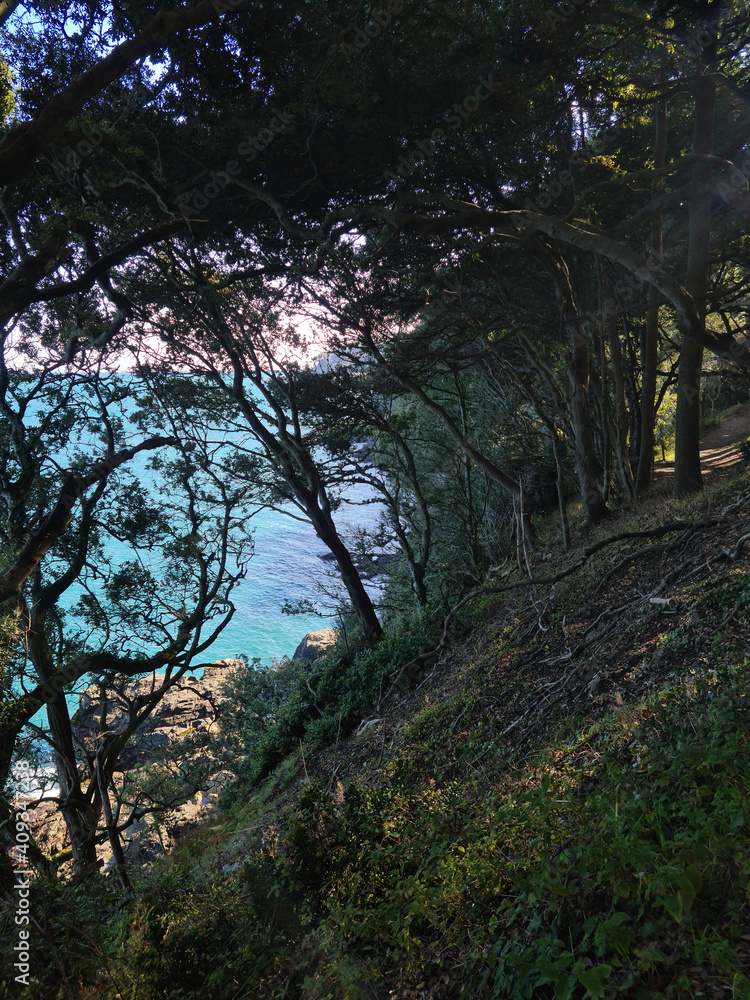 Guernsey Channel Islands, East Coast Cliffs Guernsey Channel Islands, East Coast Cliffs