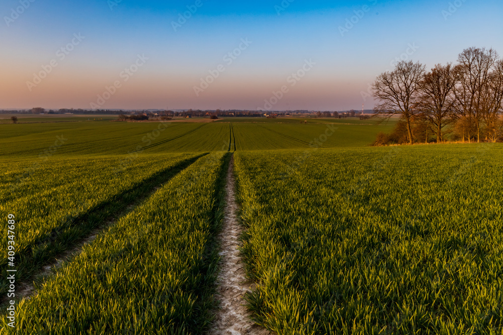 Beautiful sunrise at morning over huge green fields