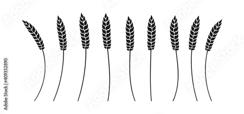 Wheat ears black glyph set. Ripe spikelets wheat separate, different shapes. Agricultural symbol oat for bakery, flour production. Design organic farm elements bread packaging beer label vector