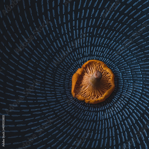 macro photograph of golden chanterelle mushroom with pattern