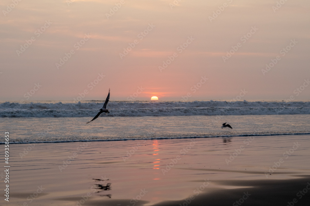 Naklejka premium sunset on the beach