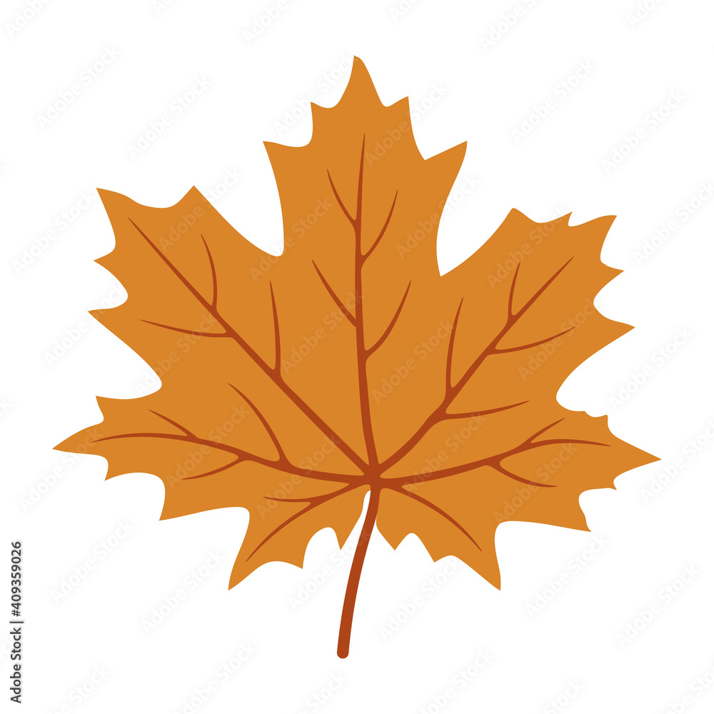 Fototapeta premium Maple leaves. Autumn colors.