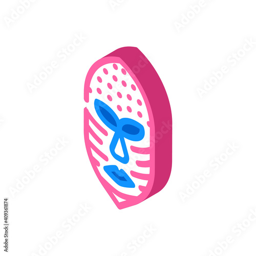 mask museum exhibit isometric icon vector illustration