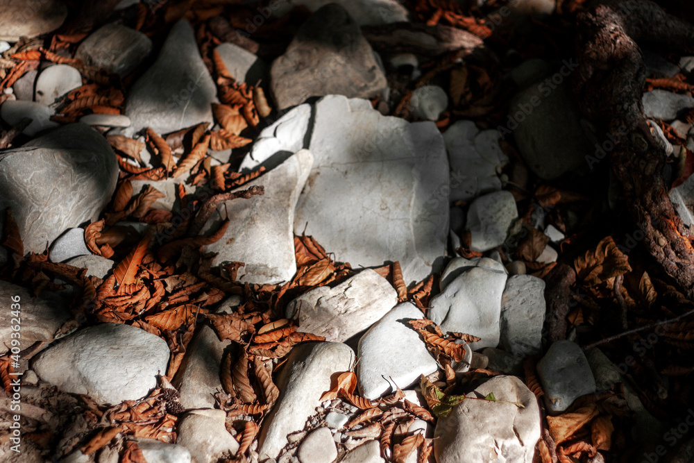 Dry orange leaves fell from the tree onto white stones. Autumn leaves lie in the shade among the white stones.