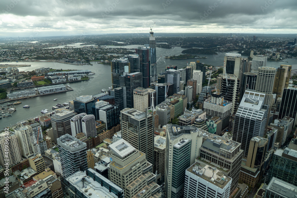Fototapeta premium Sydney cityscapes 