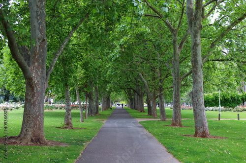 path in the park in Adelaide