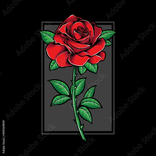 red rose vector and illustration