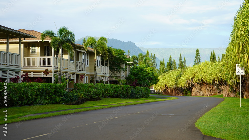 Fototapeta premium Princeville Kauai Hawaii Landscape