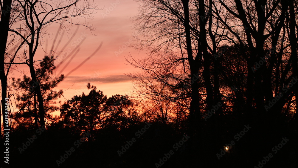 Sunset Sunset