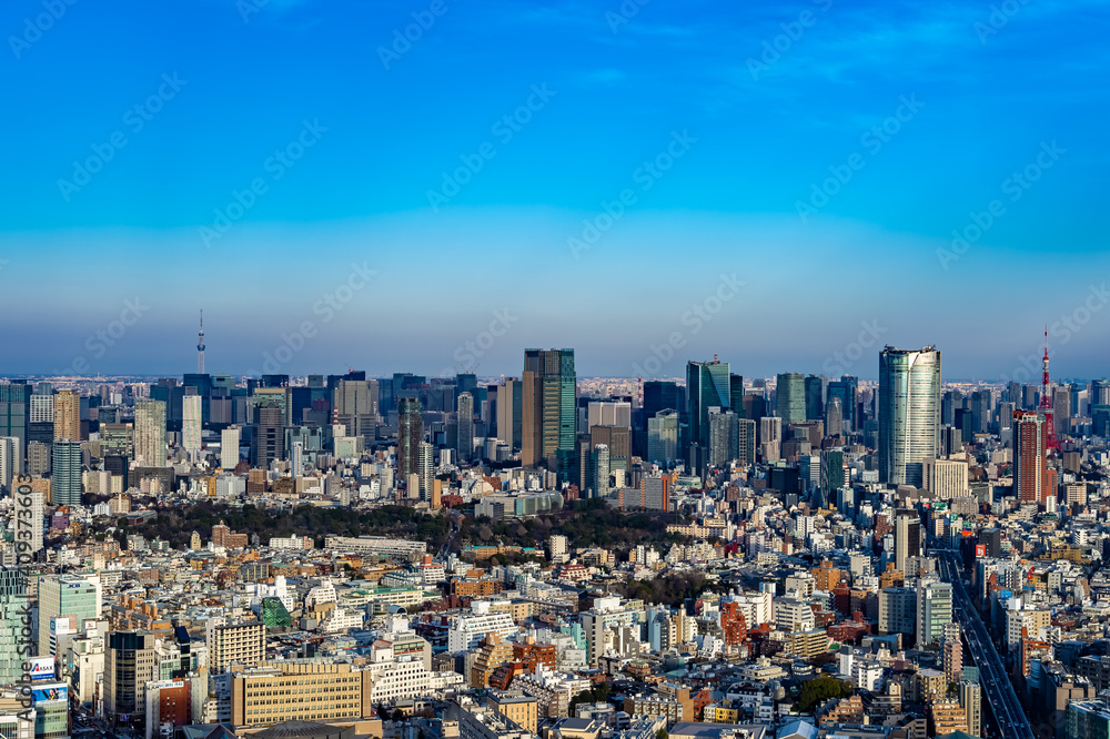 東京都渋谷区から見た東京の都市景観