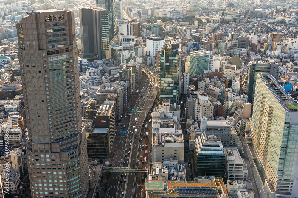 Fototapeta premium 東京都渋谷区から見た東京の都市景観