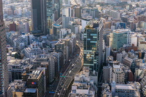 東京都渋谷区から見た東京の都市景観 © zu_kuni