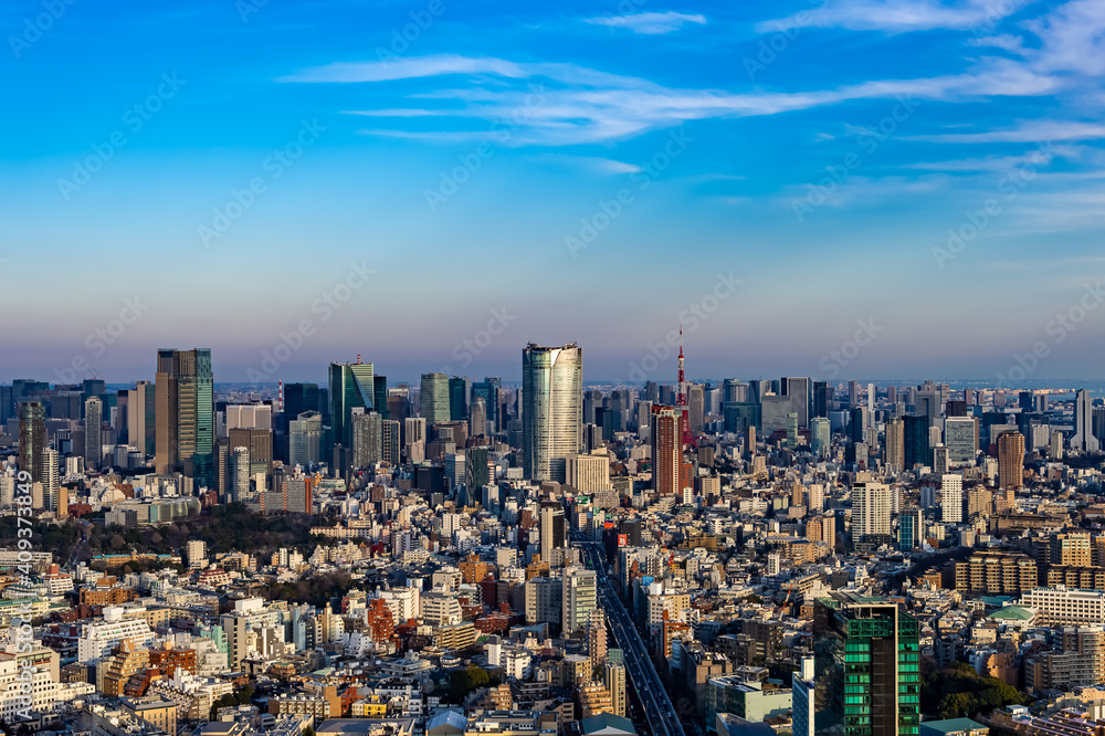 Fototapeta premium 東京都渋谷区から見た東京の都市景観