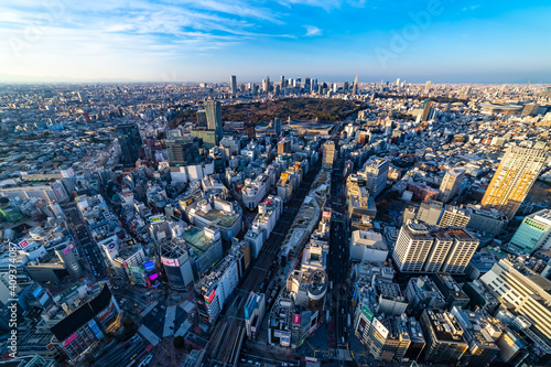 Wallpaper Mural 東京都渋谷区から見た東京の都市景観 Torontodigital.ca