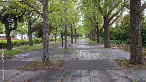 広場公園