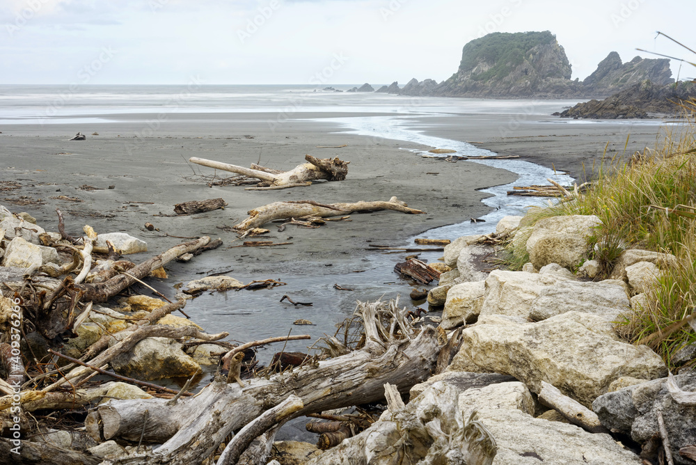 Rugged beach along the West Coast of the South Island Rugged beach along the West Coast of the South Island