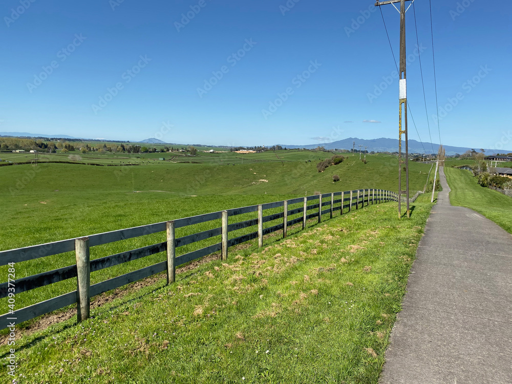 Walking trail between Till's Lookout and Taitua Arboretum in Hamilton, New Zealand