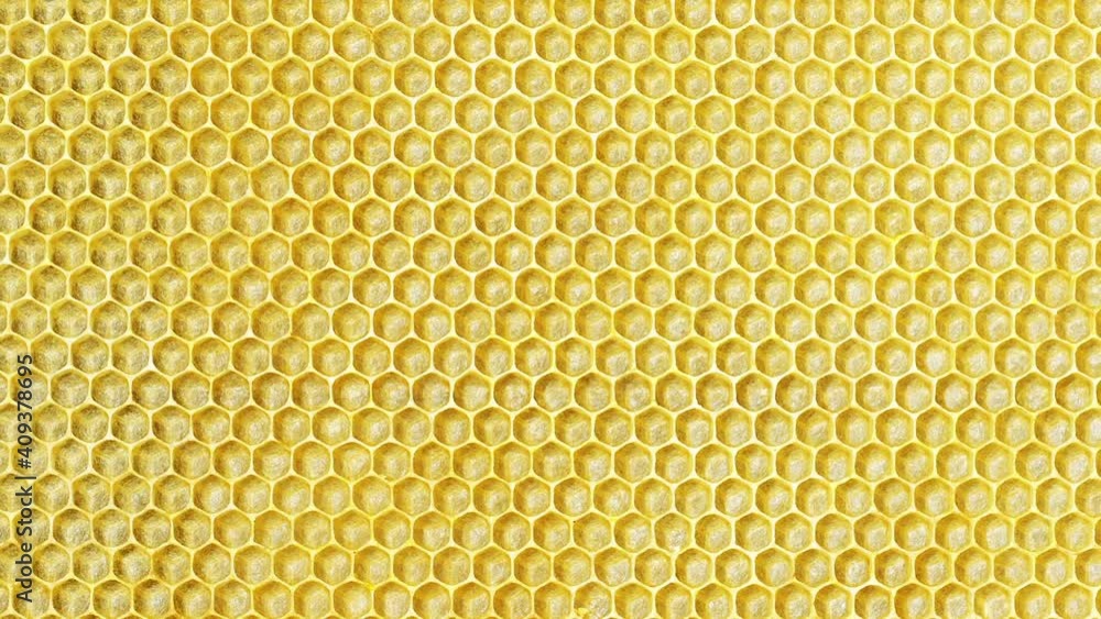 Close-up yellow honeycomb background move Close-up yellow honeycomb background move