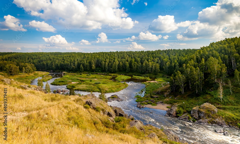 Fast river with rocky banks, overgrown with trees in summer