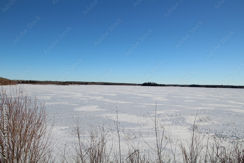 January On The Lake, Elk Island National Park, Alberta January On The Lake, Elk Island National Park, Alberta