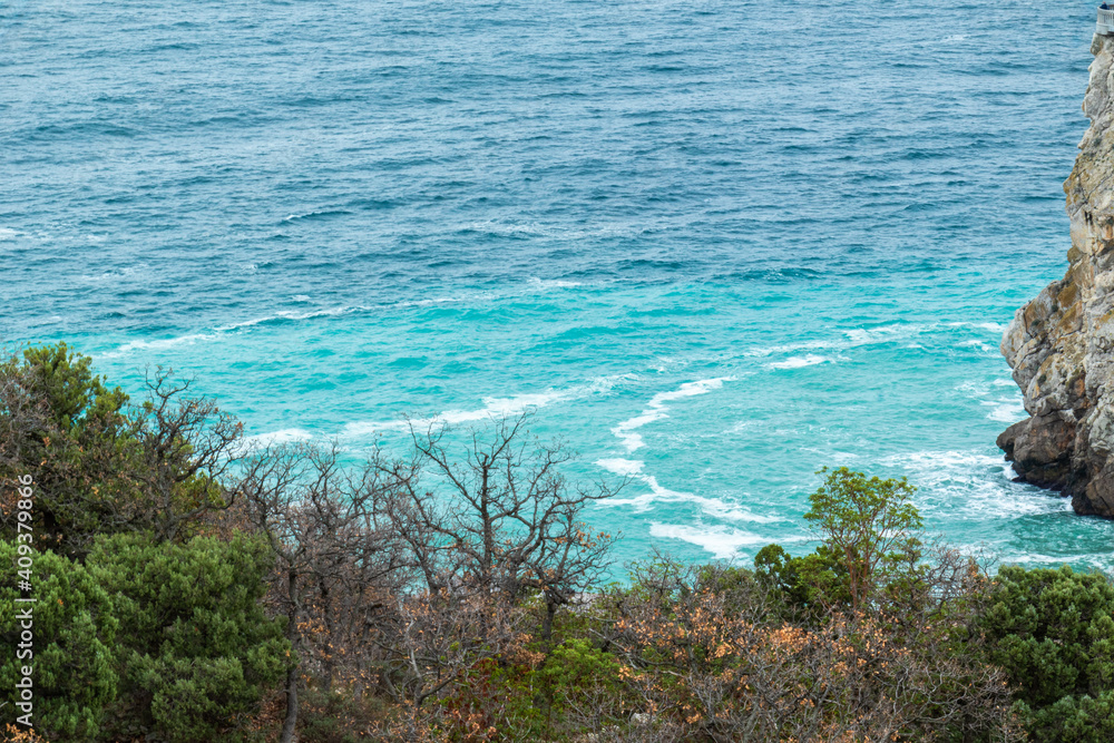 Fototapeta premium beautiful, blue sea with big waves and different plants on the beach in winter
