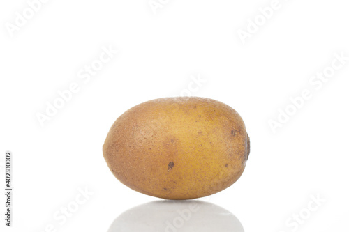 a kiwi fruit isolated on white background