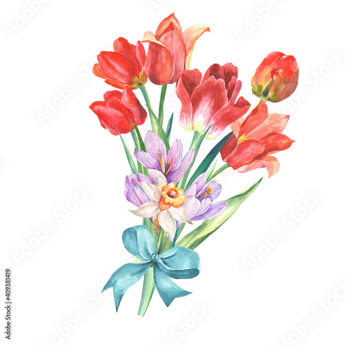 bouquet of tulips with crocuses.watercolor flowers