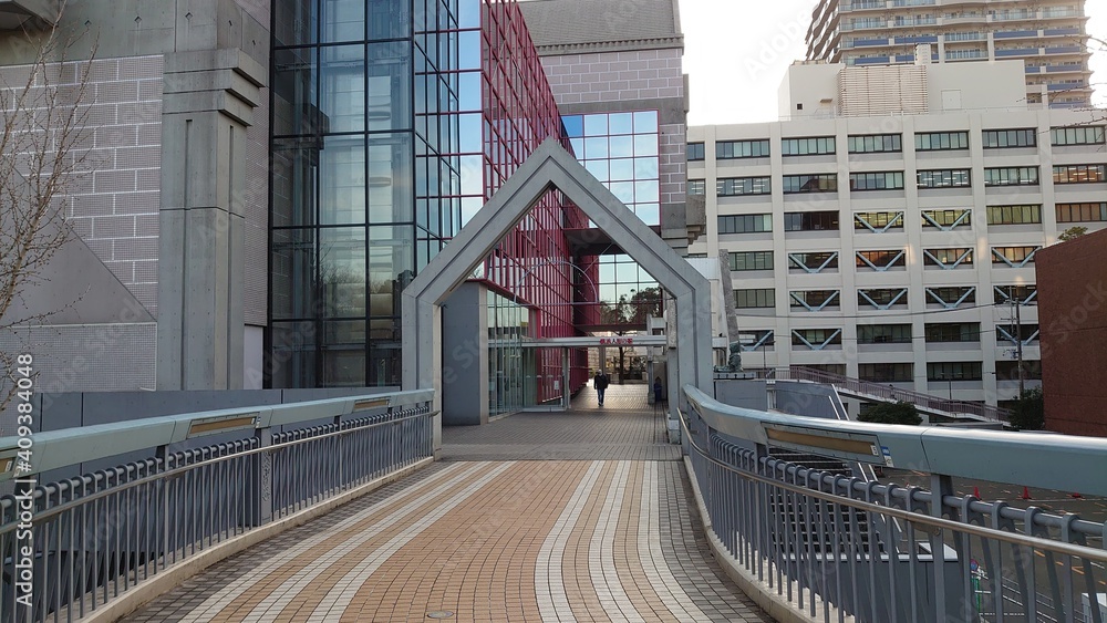 Fototapeta premium 公園広場